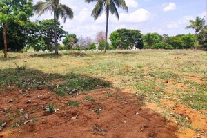 Plot Area in  Plot at Bluevalley Tranquil Arc, Rajanukunte – for Sale