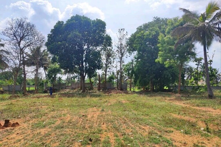 undefined, bluevalley-tranquil-arc  5225 Sq.Ft. Plot In Rajanukunte Bangalore 10317650