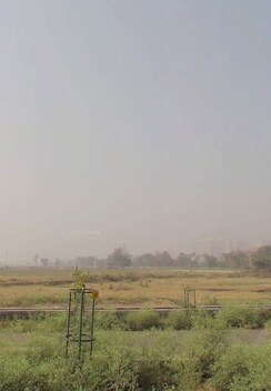Plot For Sale in YEIDA Plots