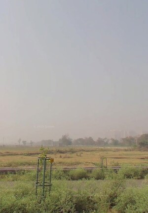  Plot For Sale in YEIDA Plots, Dankaur