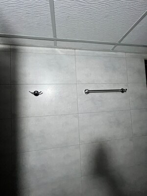 1 BHK Apartment For Rent in Mahindra Alcove, Chandivali