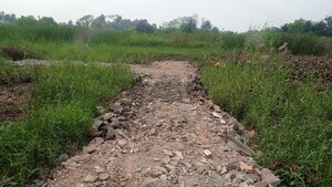 Plot Area in  Plot at Narendrapur – for Sale