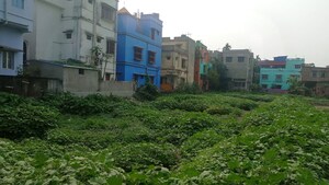 Plot For Sale in Narendrapur