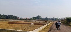 Land For Sale in Dhawa