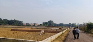  Land For Sale in Dhawa