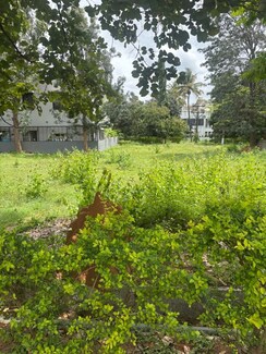 Plot For Sale in BDS Gardens