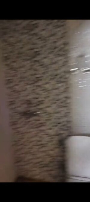 Room in 3 BHK Apartment at Rise Organic Homes, Mahurali – for Rent