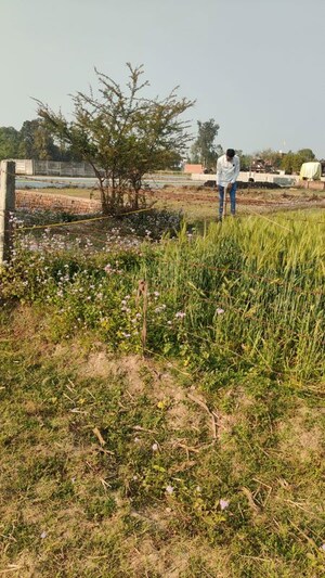 Plot Area in  Industrial Plot at Dhawa – for Sale