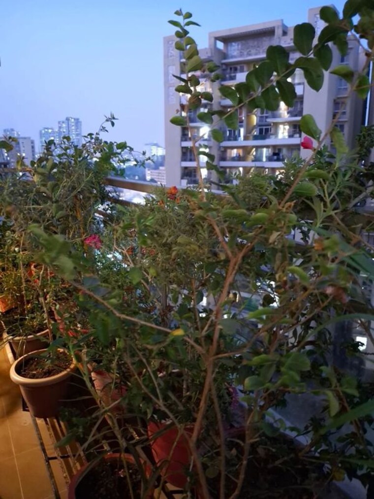 Garden, tulip-violet 4 Bedroom 2000 Sq.Ft. Apartment In Sector 69 Gurgaon 10318132