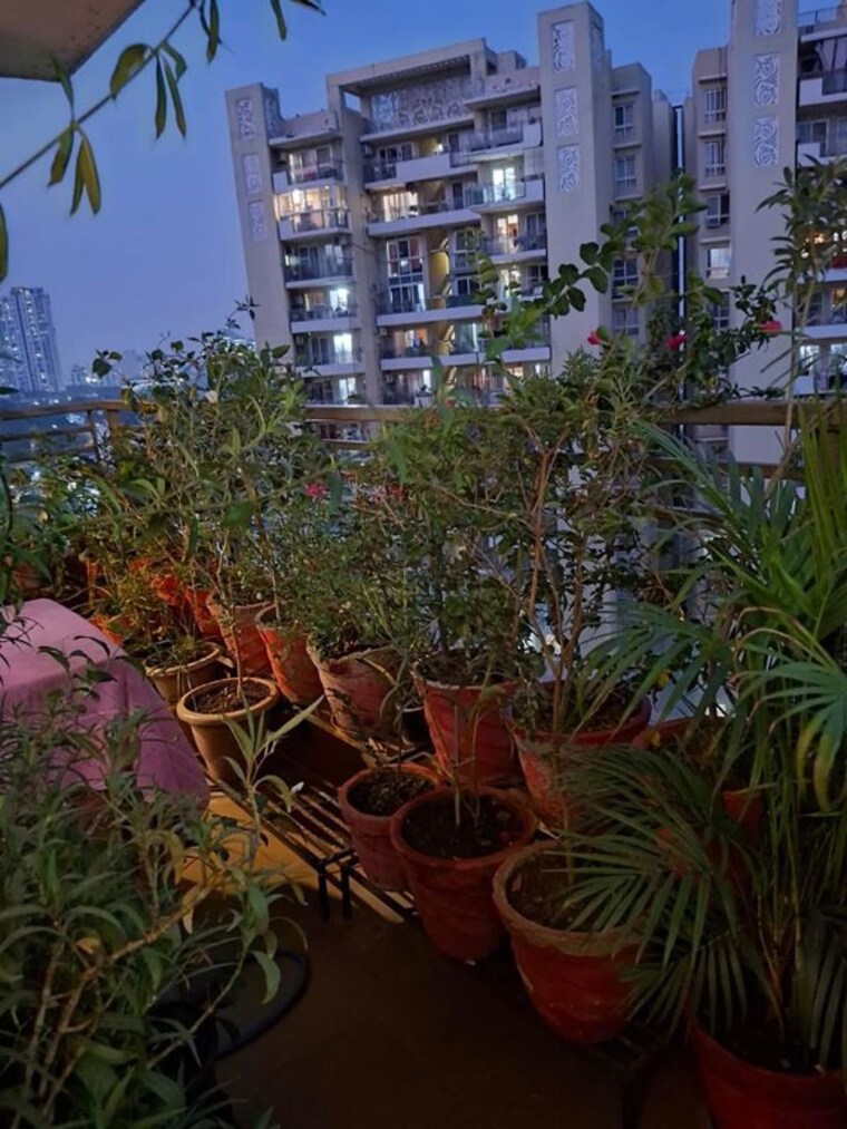 Exterior View, tulip-violet 4 Bedroom 2000 Sq.Ft. Apartment In Sector 69 Gurgaon 10318132