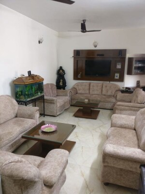 3.5 BHK Apartment For Sale in Sector 13