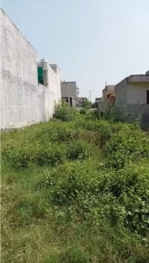  Plot For Sale in Sector 84