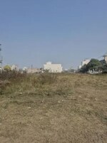 250 Sq.Yd. Plot in Sector 84