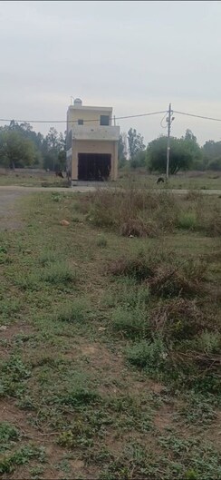 Plot For Sale in Rohini Sector 35
