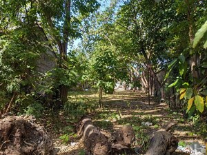  Plot For Sale in Dharampur Nehru Colony