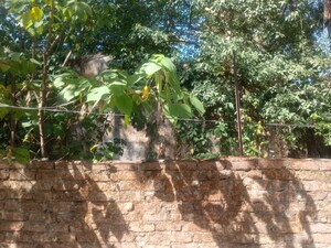 Plot Area in  Plot at Dharampur Nehru Colony – for Sale