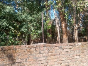 Plot Area in  Plot at Dharampur Nehru Colony – for Sale