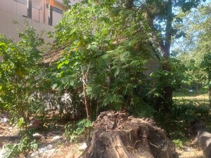  Plot – Exterior View View at Dharampur Nehru Colony - for Sale