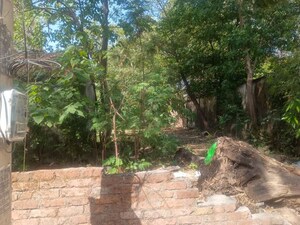 Plot Area in  Plot at Dharampur Nehru Colony – for Sale