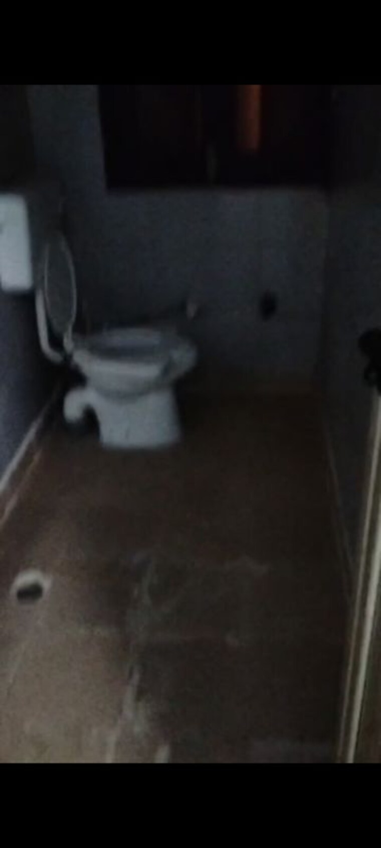 Bathroom, kakrola 2 Bedroom 550 Sq.Ft. Builder Floor In Kakrola Delhi 10318736