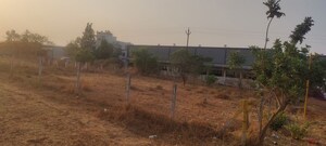 Plot Area in  Plot at Palase – for Sale