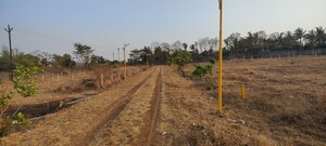  Plot For Sale in Palase