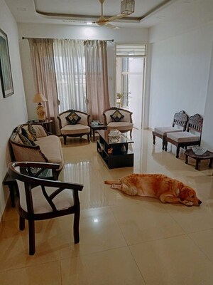 3 BHK Apartment For Rent in Manjri Greens Phase 2, Hadapsar