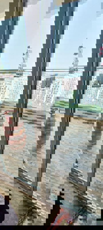 2 BHK + Basement 1200 Sq.Ft. Apartment in VTP Solitarie