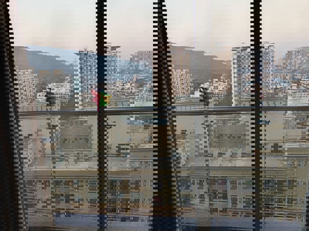 2 BHK + Extra Room 719 Sq.Ft. Apartment in Courtyard by Narang Realty and The Wadhwa Group