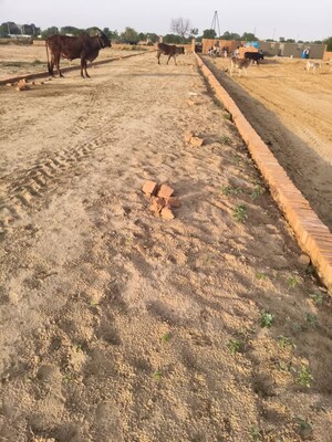 Plot Area in  Plot at Saini – for Sale