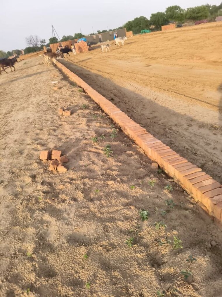 undefined, sector 12  92 Sq.Yd. Plot In Sector 12 Noida 10319733