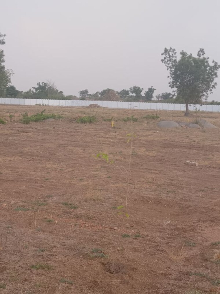 undefined, kodangal  300 Sq.Yd. Plot In Kodangal Vikarabad 10320004