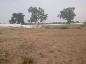 Plot Area in  Plot at Kodangal – for Sale