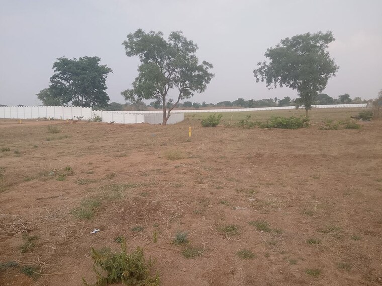 undefined, kodangal  300 Sq.Yd. Plot In Kodangal Vikarabad 10320004
