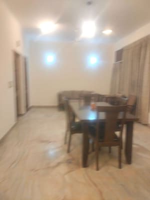 1 BHK Builder Floor For Rent in Delhi Cantonment