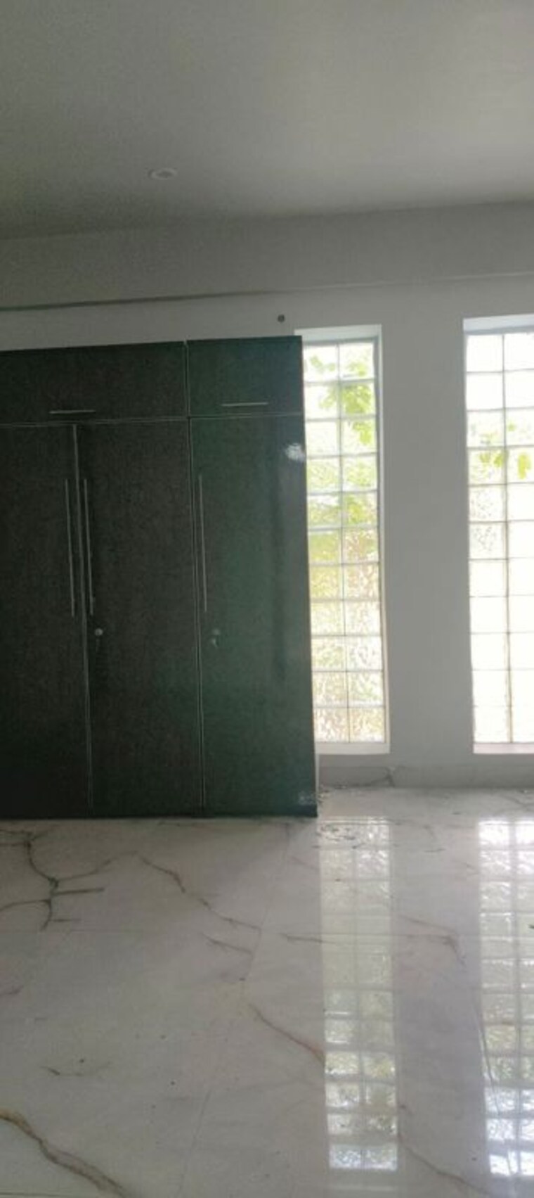 Room, tulip-mall 3.5 Bedroom 250 Sq.Mt. Builder Floor In Sector 46 Noida 10320246