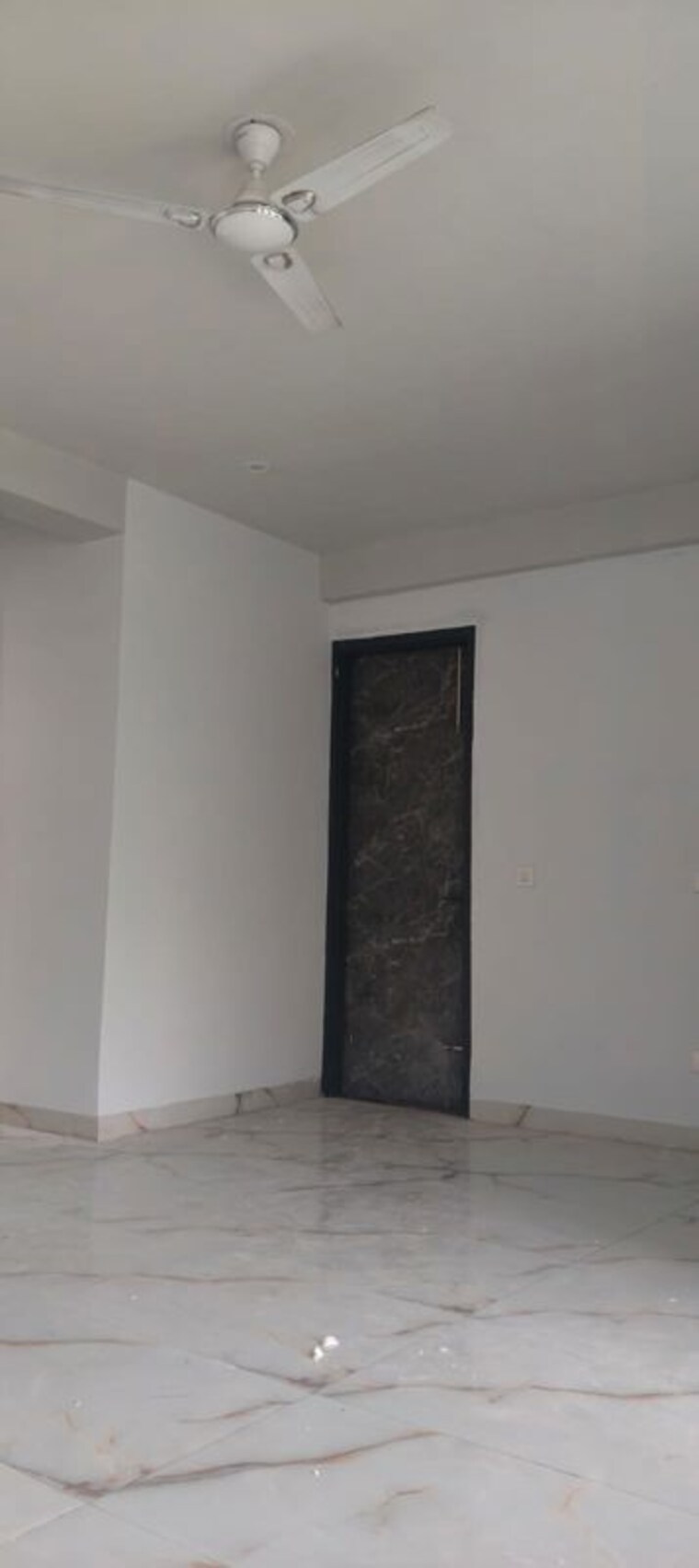 Room, tulip-mall 3.5 Bedroom 250 Sq.Mt. Builder Floor In Sector 46 Noida 10320246