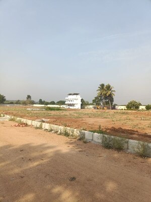  Plot For Sale in Mulug