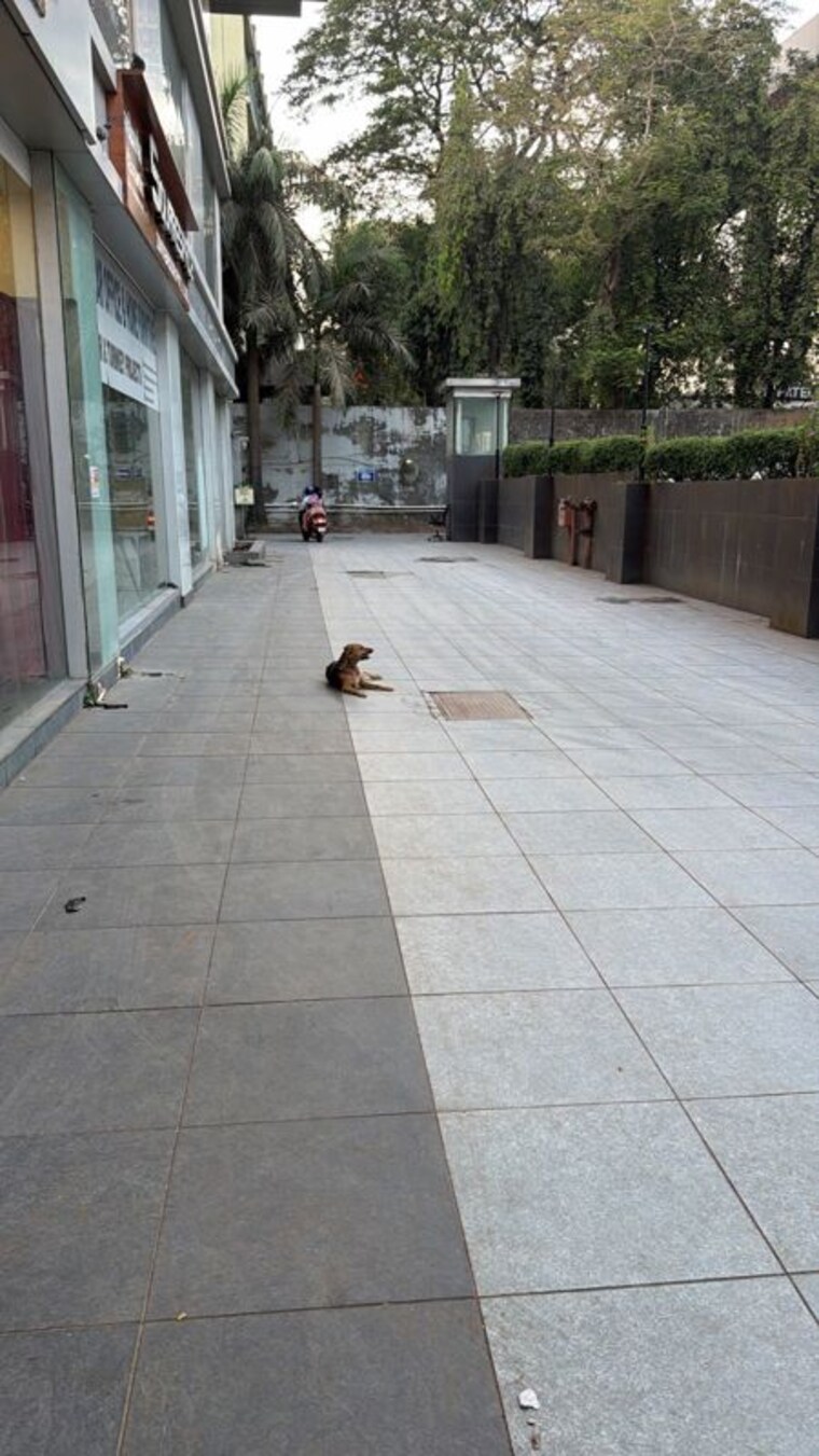  Parking, express-zone Commercial Office Space 1201 Sq.Ft. In Malad East Mumbai 10320371