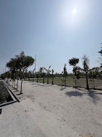 195 Sq.Ft. Plot in Biharigarh