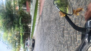  Plot – Nearby View at Shamirpet - for Sale