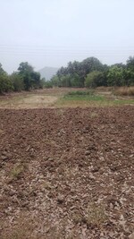 1089 Sq.Ft. Plot in Adai