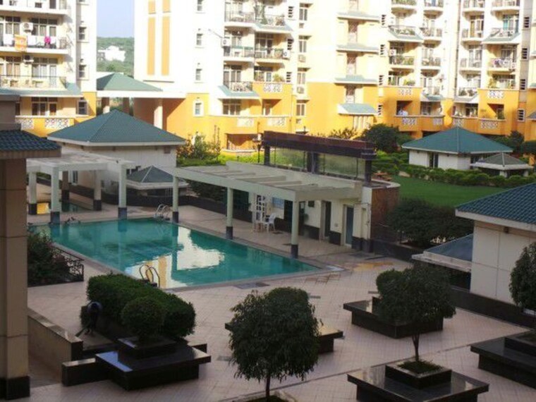 Exterior View, suncity-heights 3 Bedroom 2341 Sq.Ft. Apartment In Sector 54 Gurgaon 10320464