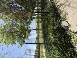 Balcony in 2 BHK Apartment at Lodha Belmondo, Gahunje – for Rent