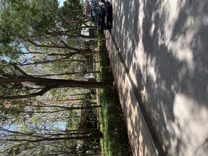 2 BHK Apartment – Garden View at Lodha Belmondo, Gahunje - for Rent