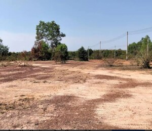  Land For Rent in Kapur Bawdi