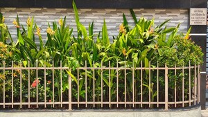 Balcony in 3 BHK Apartment at Manikonda – for Rent