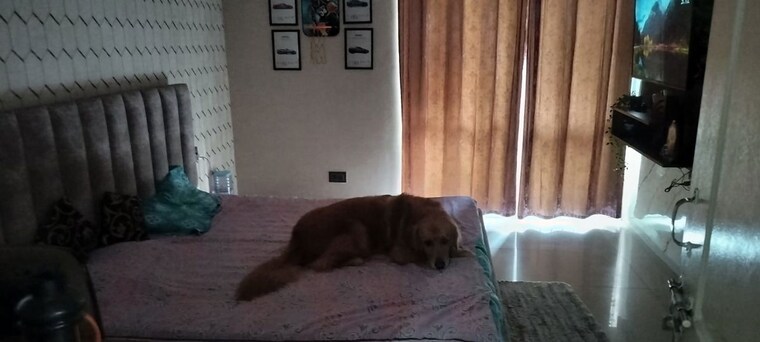 Room, trishla-city 3 Bedroom 1805 Sq.Ft. Apartment In Patiala Road Zirakpur 10321620