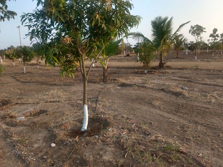 Garden, yacharam  250 Sq.Yd. Plot In Yacharam Hyderabad 10321757