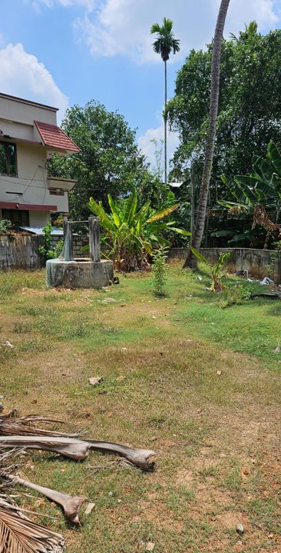 Plot For Sale in Thirumala